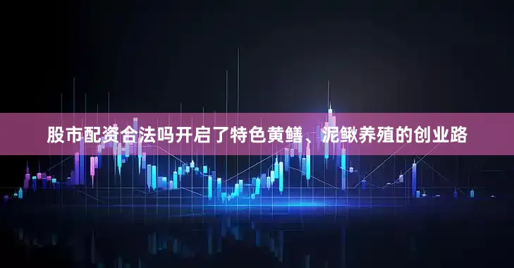 股市配资合法吗开启了特色黄鳝、泥鳅养殖的创业路