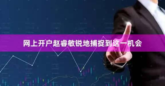 网上开户赵睿敏锐地捕捉到这一机会